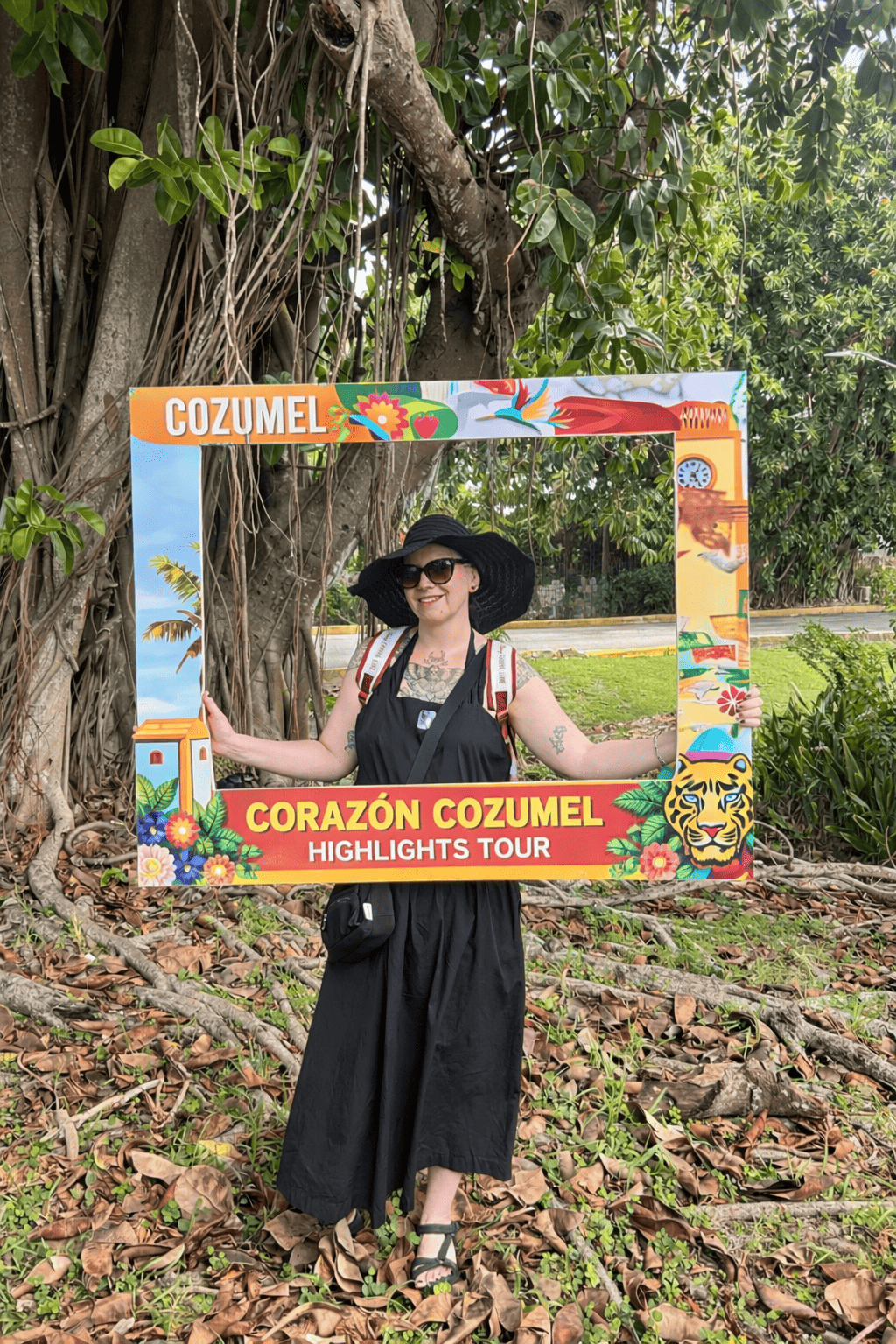 Private Cozumel Highlights Tour | Best Island Private Tour in Cozumel ChatGPT Image 20 Feb 2026 07 37 44 A.m