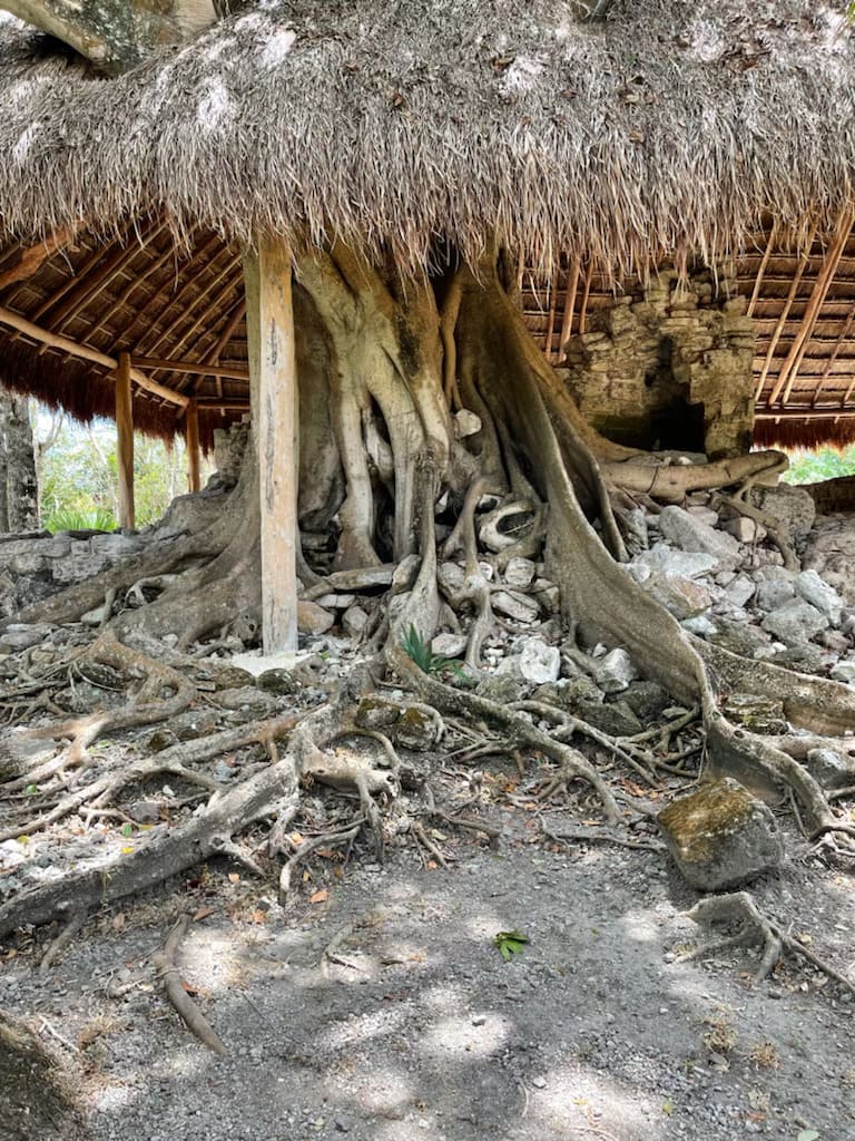 NATURE img 0369